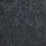 Iris 3578