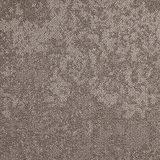 Iris 3546