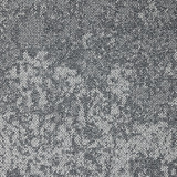 Iris 3576