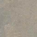 Sillnäs Fossil